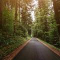 Silent Strength: The New Era of Low-Noise and Eco-Friendly Road Surfaces