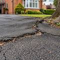 Can Tree Roots Damage a Tarmac Driveway?